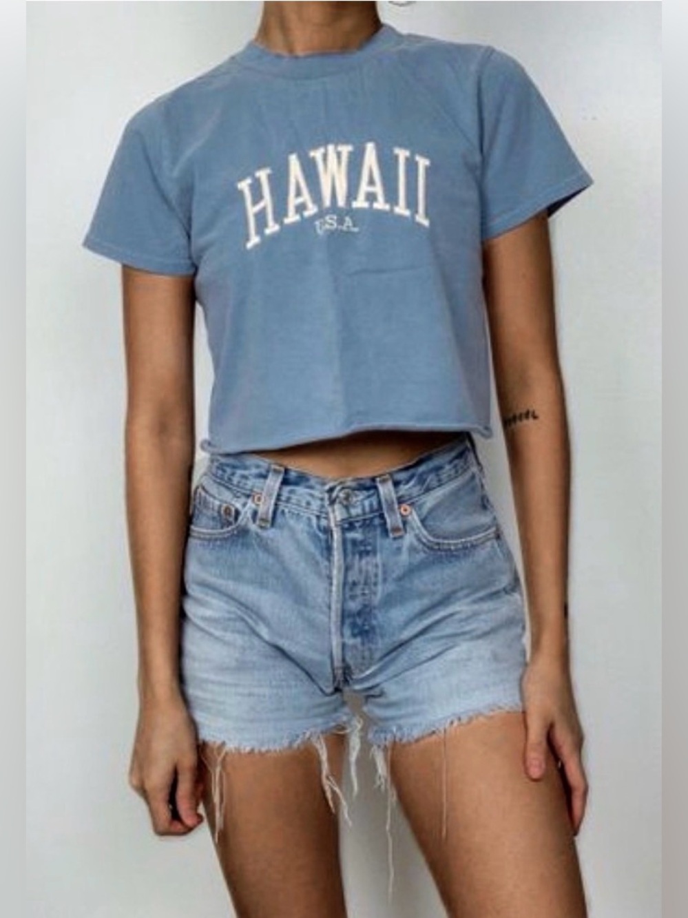 Brandy Melville Helen Hawaii Embroidered T-Shirt. Blue